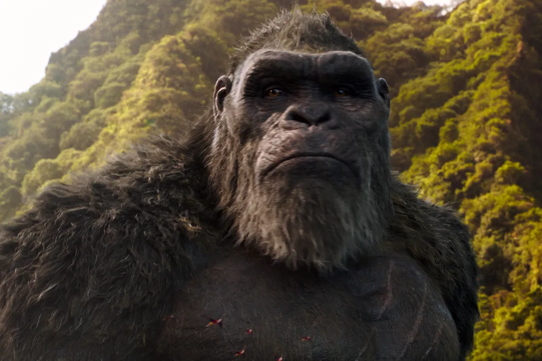 KONG in Warner Bros. Pictures’ and Legendary Pictures’ action adventure “GODZILLA VS. KONG,” a Warner Bros. Pictures and Legendary Pictures release