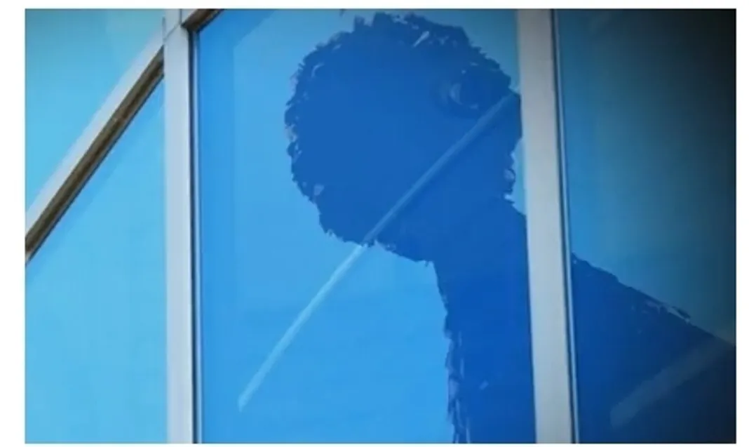 big bird, obama