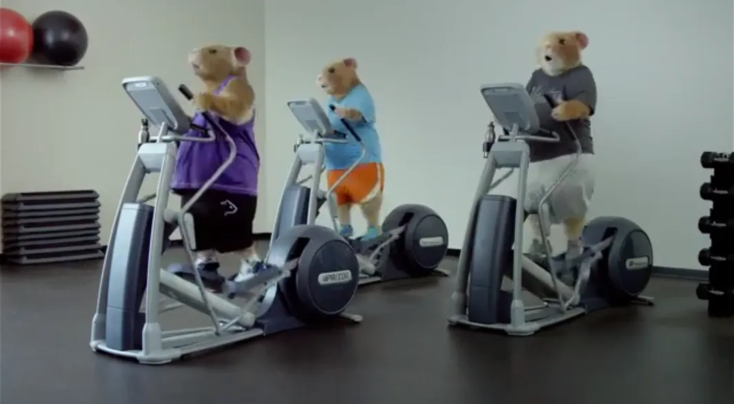 2014 Kia Soul Hamster Commercial