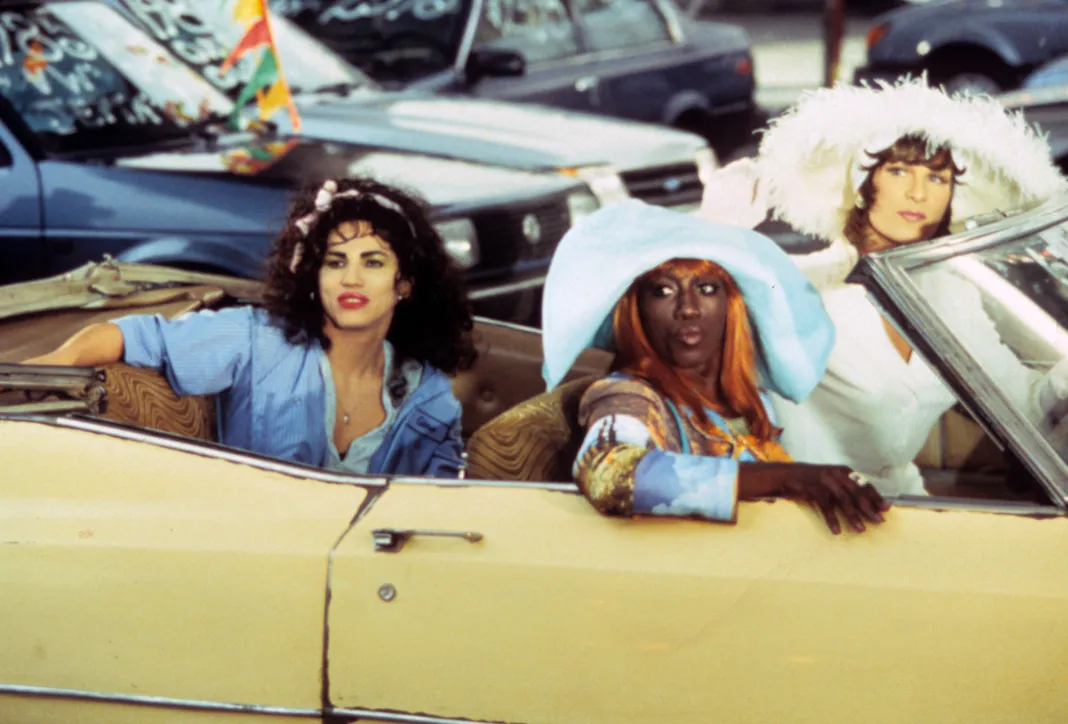 TO WONG FOO THANKS FOR EVERYTHING, JULIE NEWMAR