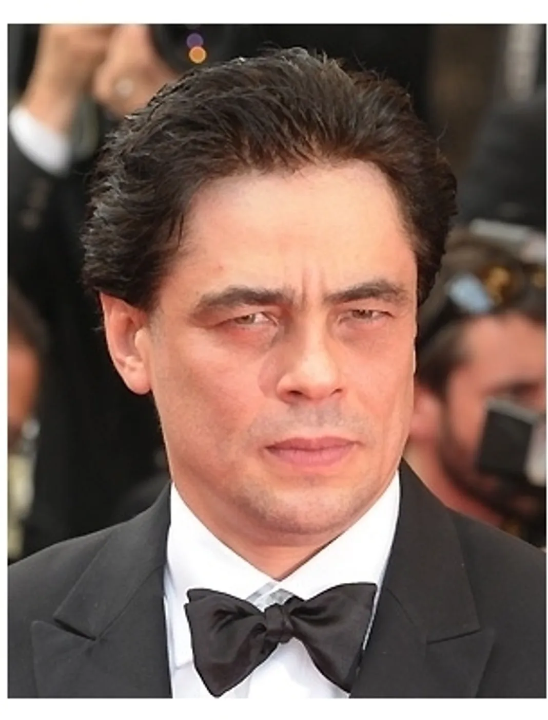 61st Annual Cannes Film Festival - 'Che' Premiere 