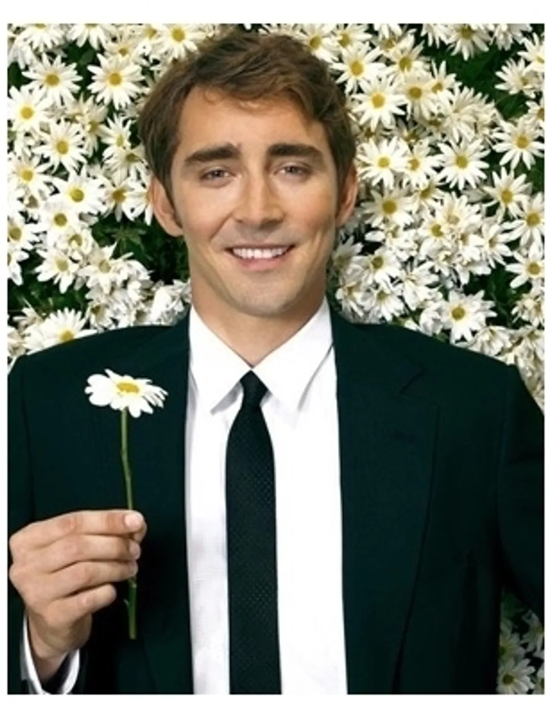 ABC's Pushing Daisies TV Stills
