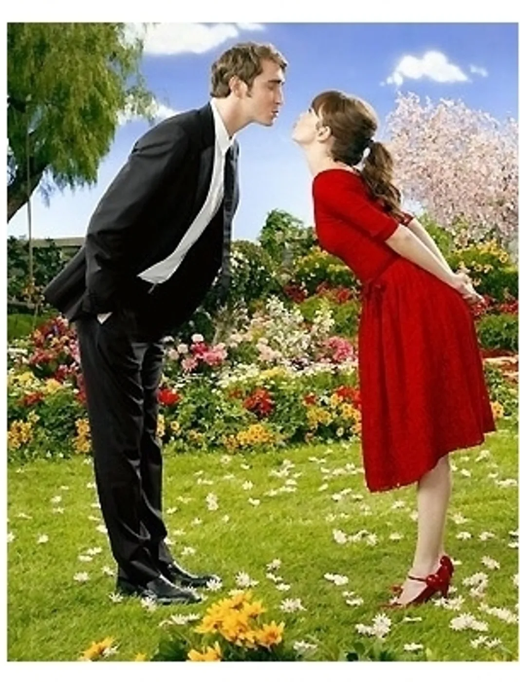 ABC's Pushing Daisies TV Stills