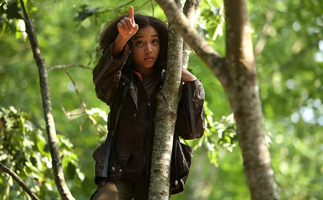 Amandla Stenberg, Rue Hunger Games