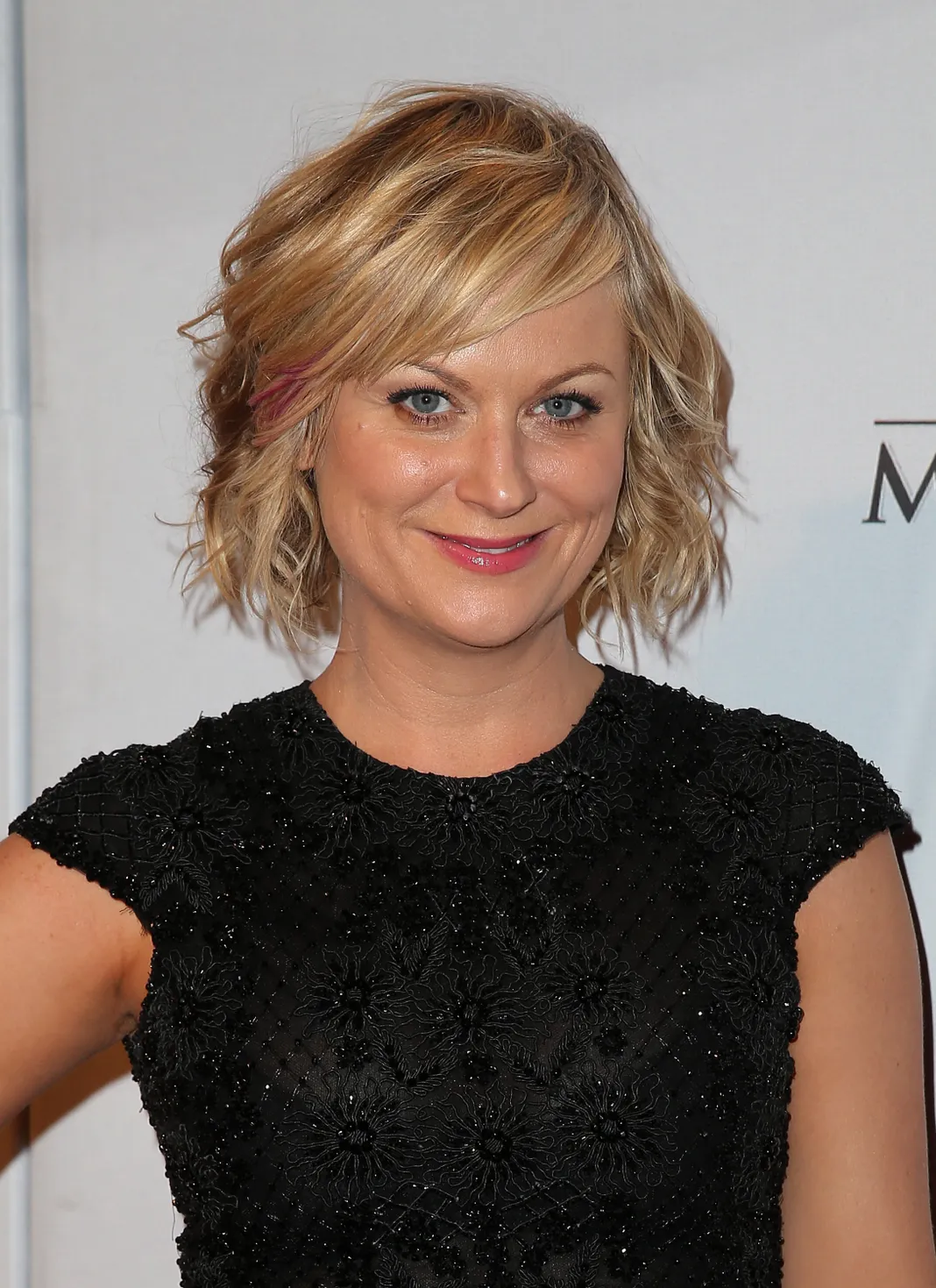 Amy Poehler, Ask Amy