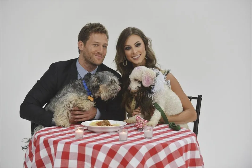 Bachelor recap