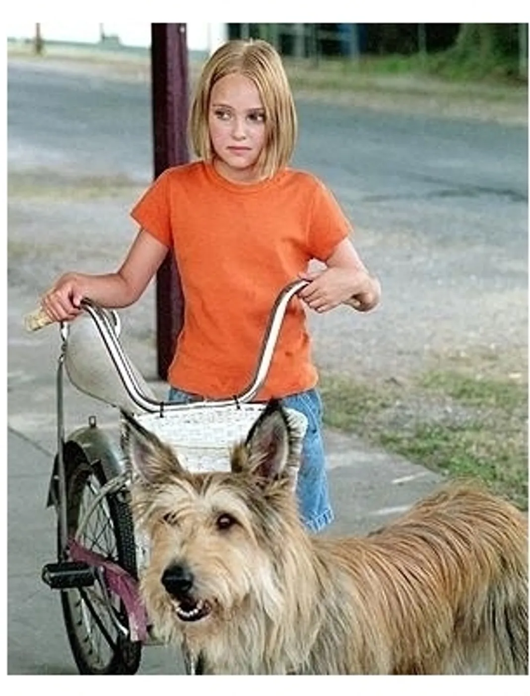 Because of Winn-Dixie Movie Stills: AnnaSophia Robb  