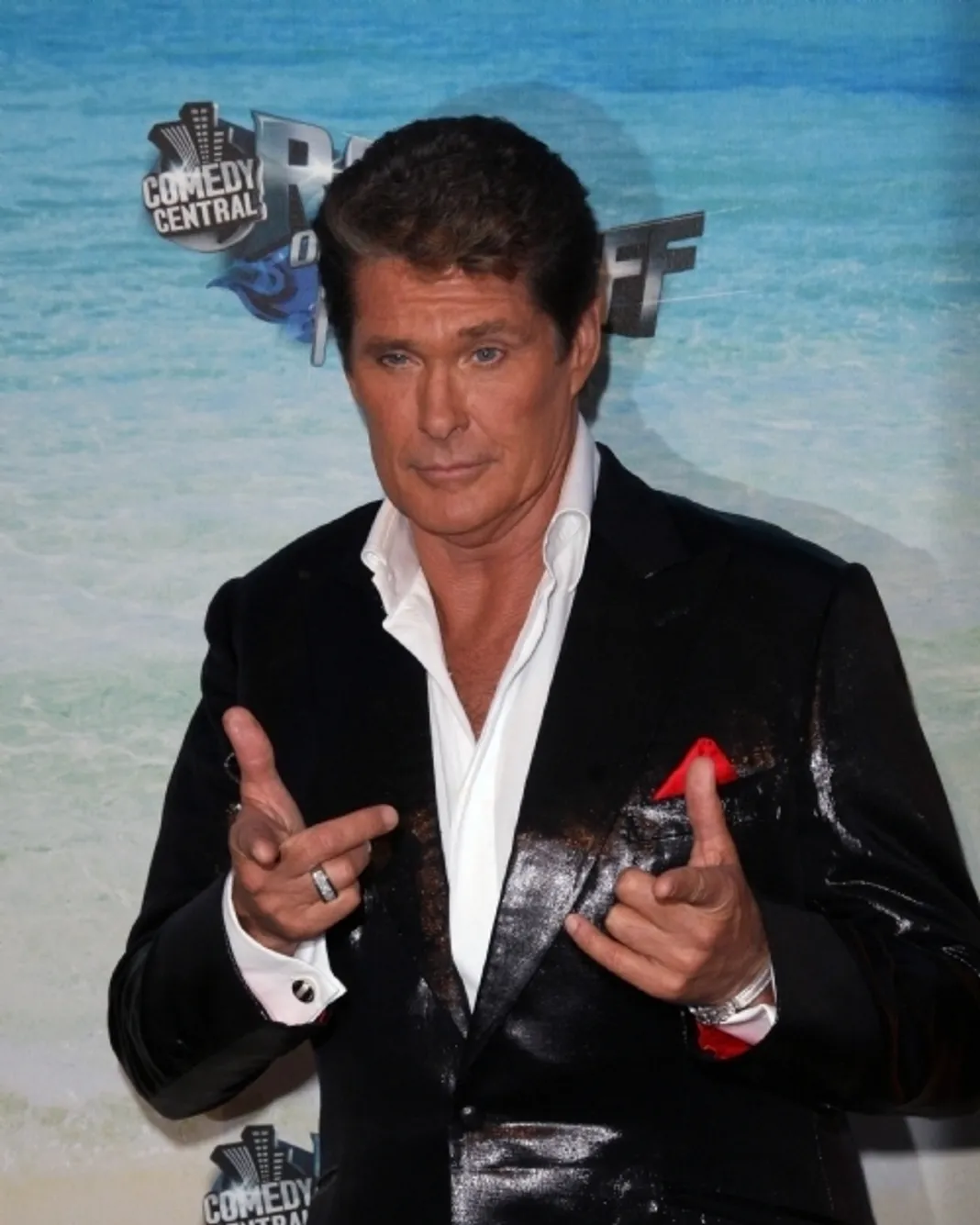 David Hasselhoff