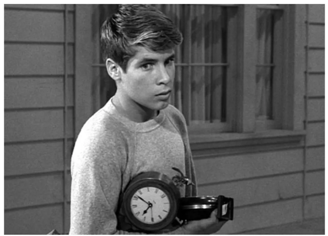 Don Grady as Robbie Douglas