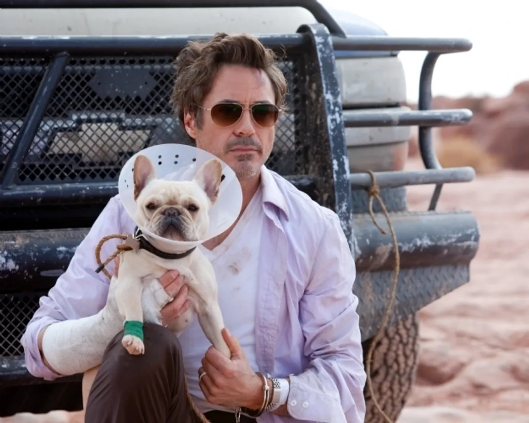 Due Date: Robert Downey Jr