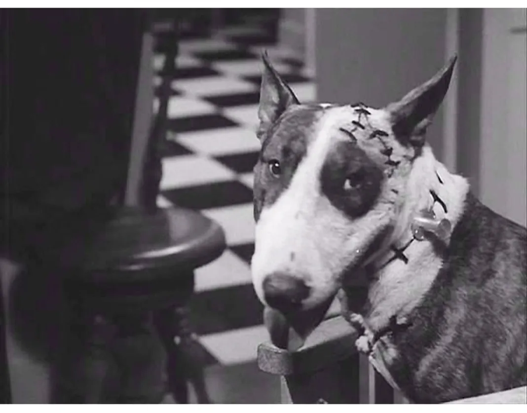 Frankenweenie