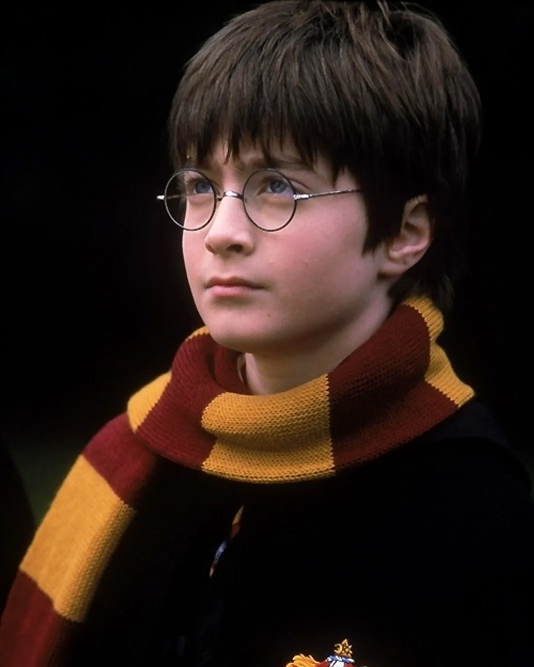 Harry Potter and the Sorcerer's Stone: Daniel Radcliffe