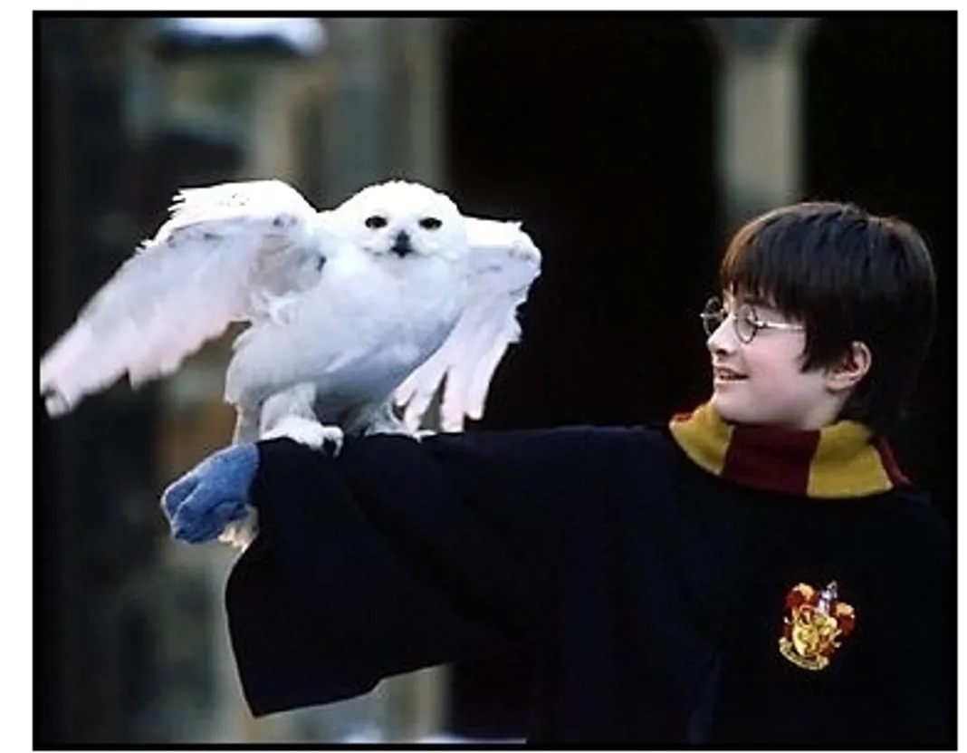 Harry Potter movie still: Daniel Radcliffe as Harry Potter