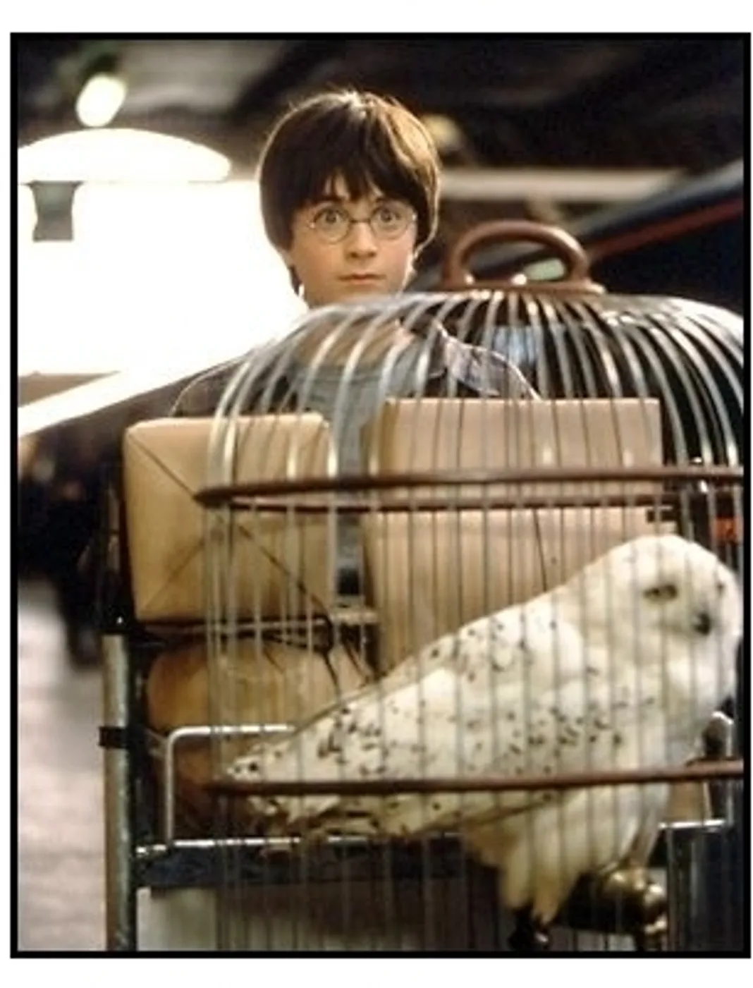 Harry Potter movie still: Daniel Radcliffe with Hedwig the owl