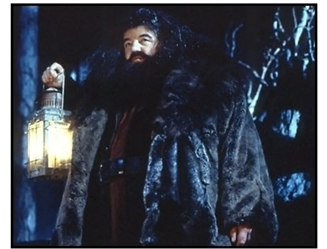 Harry Potter movie still: Robbie Coltrane as Hagrid