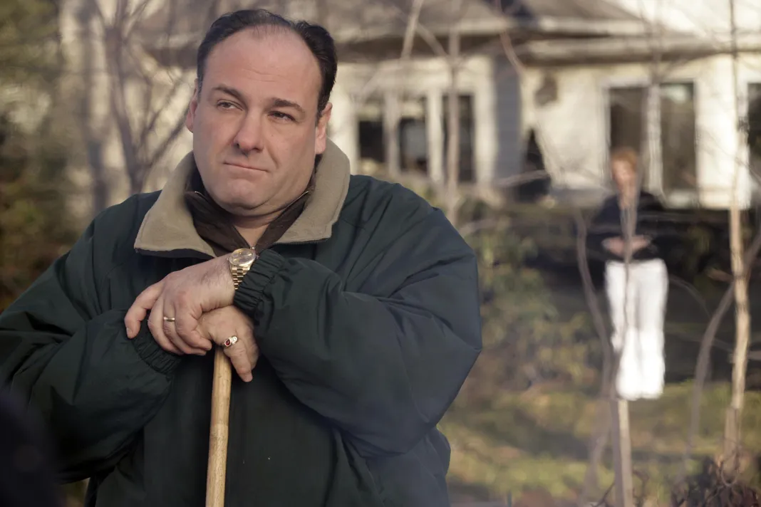 James Gandolfini, The Sopranos