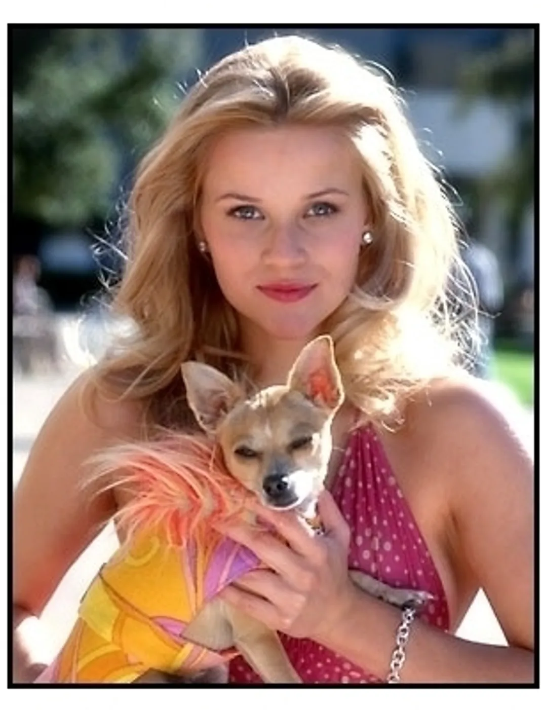 Legally Blonde movie still: Reese Witherspoon