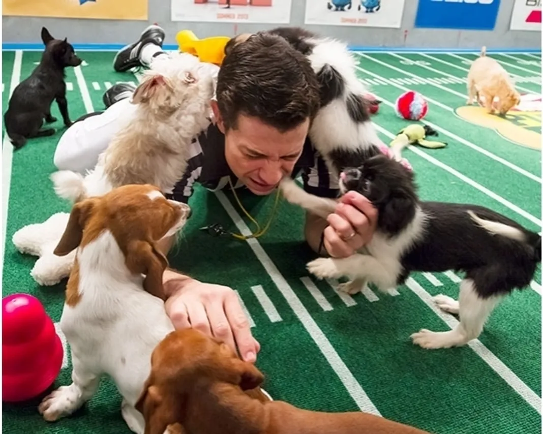 Puppy Bowl