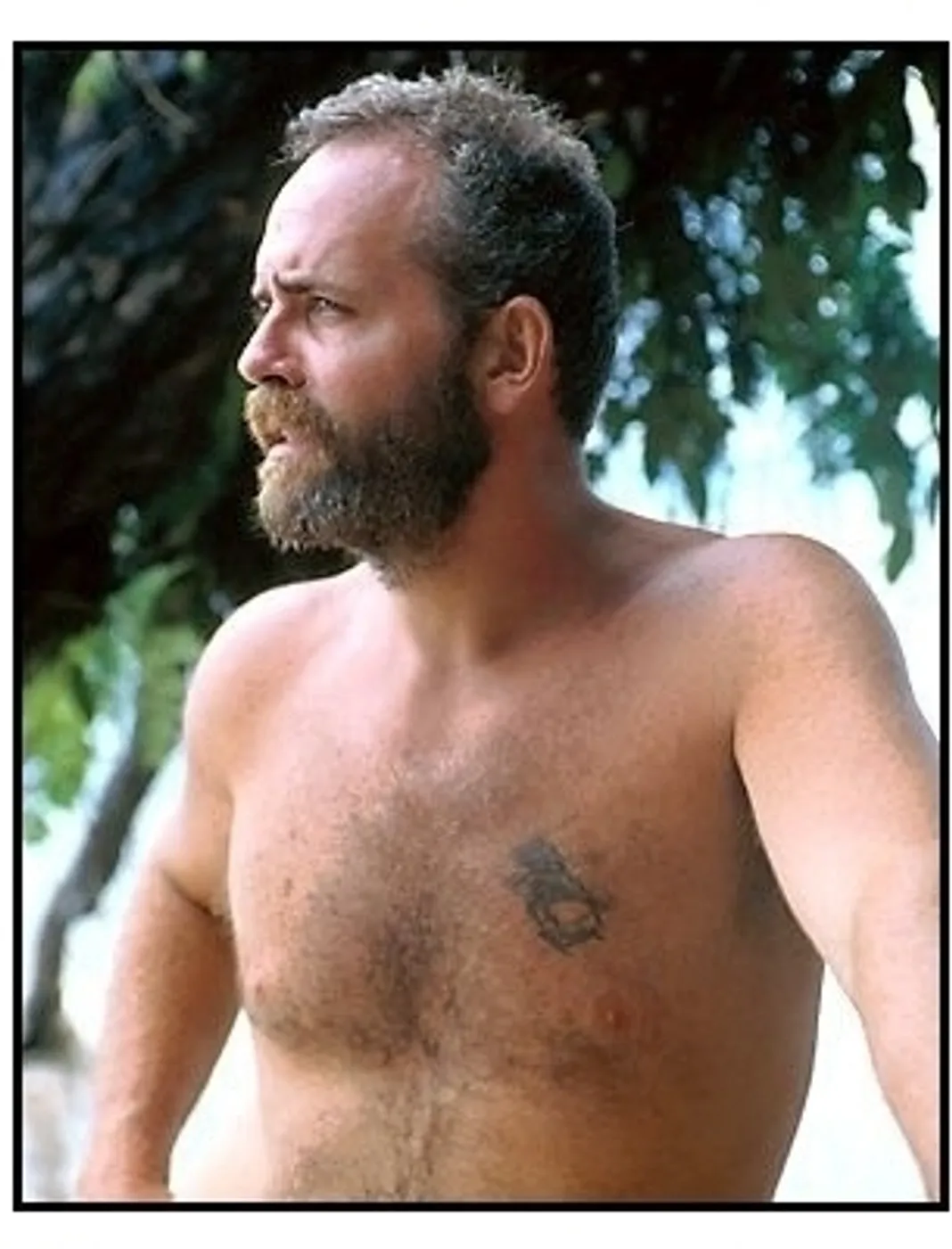 Richard Hatch from 