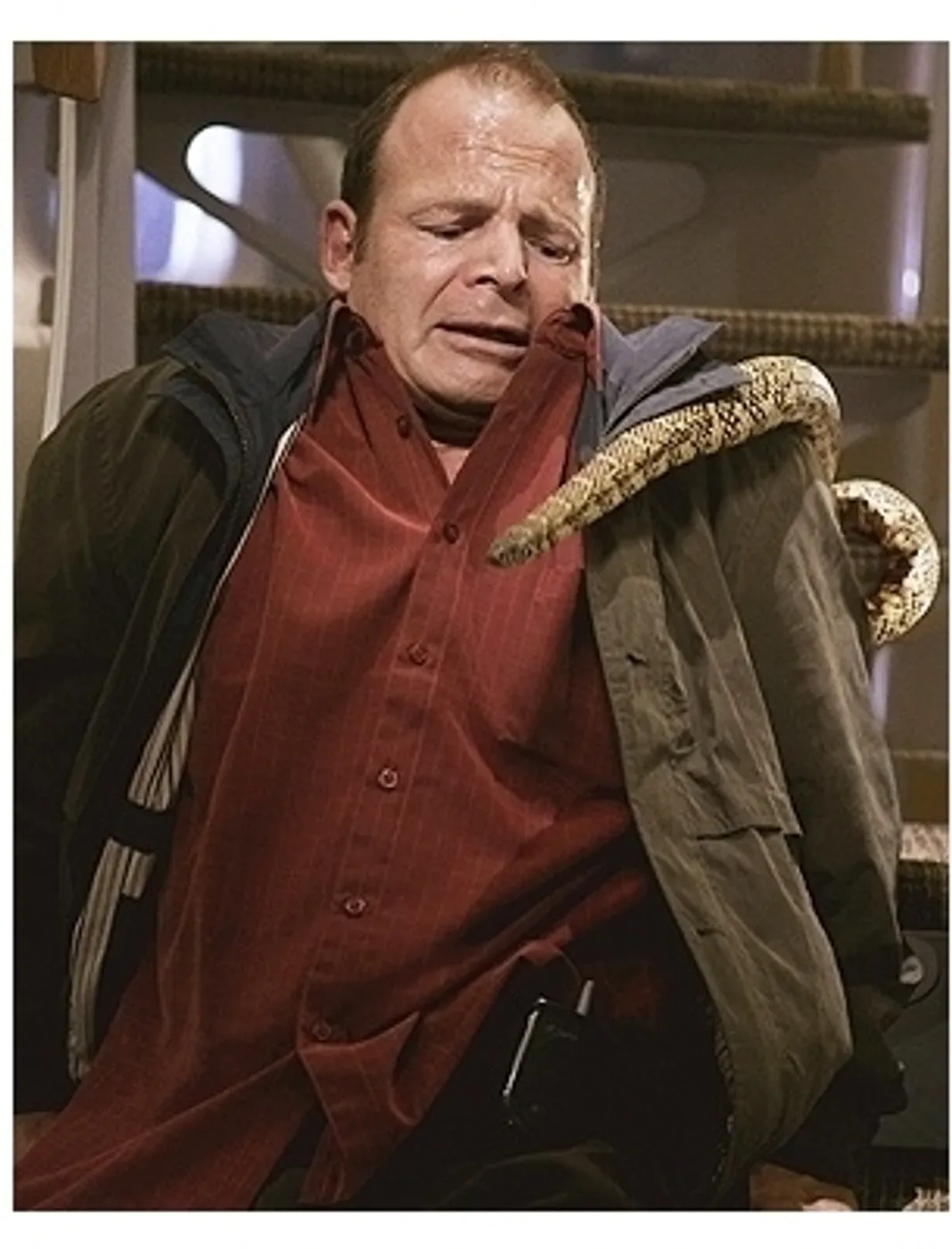 Snakes on a Plane Movie Stills:  Mark Houghton