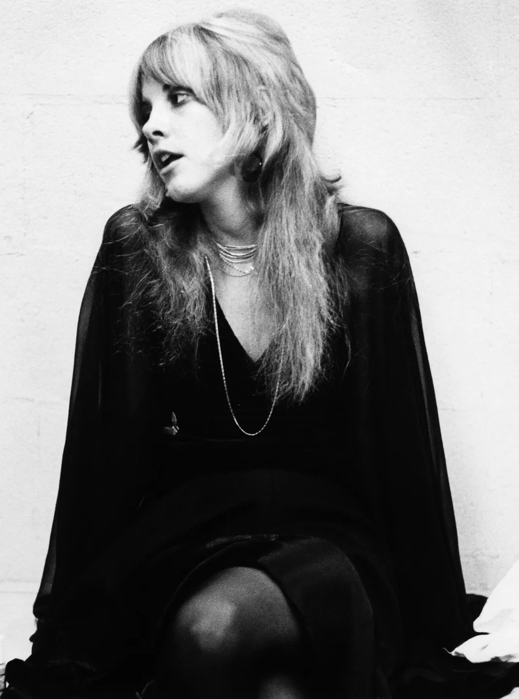 Stevie Nicks
