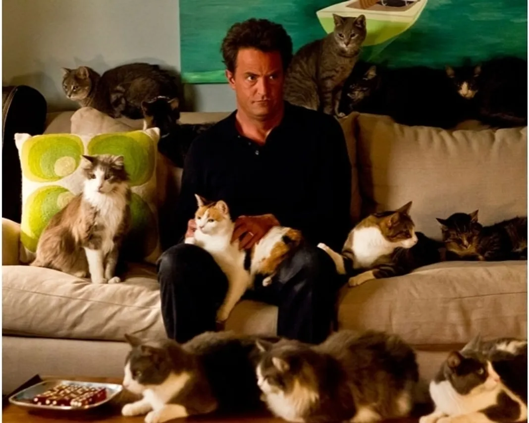 The Ax Factor, Go On, Matthew Perry with Cats