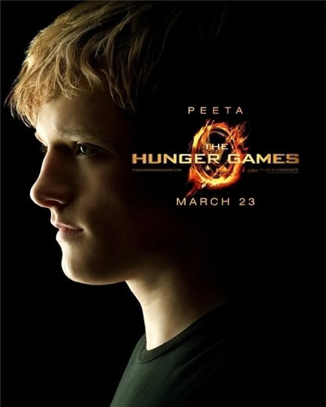 The Hunger Games: Character Poster