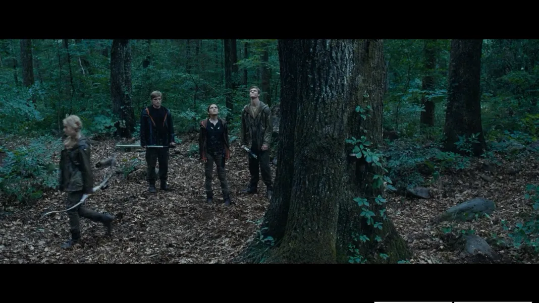 The Hunger Games