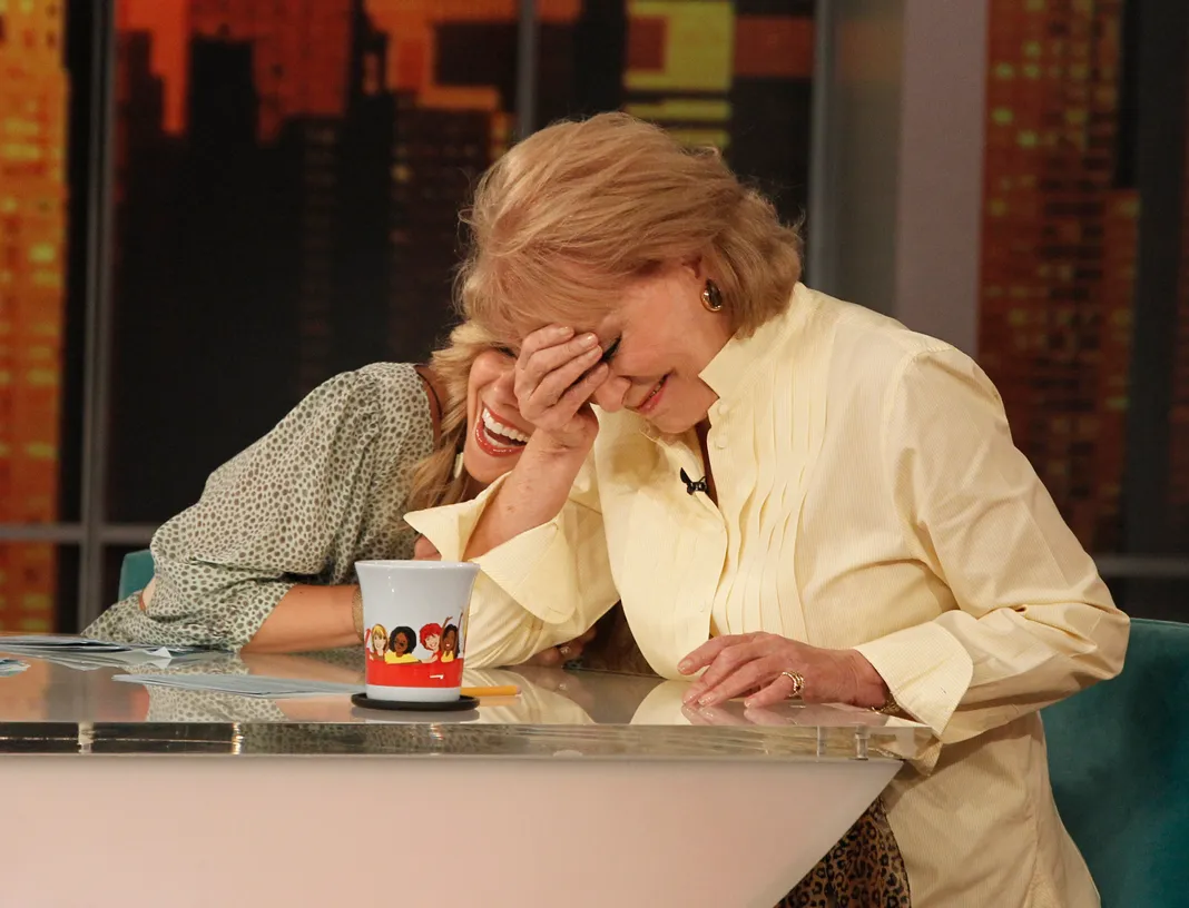 The View, Barbara Walters, Elisabeth Hasselbeck