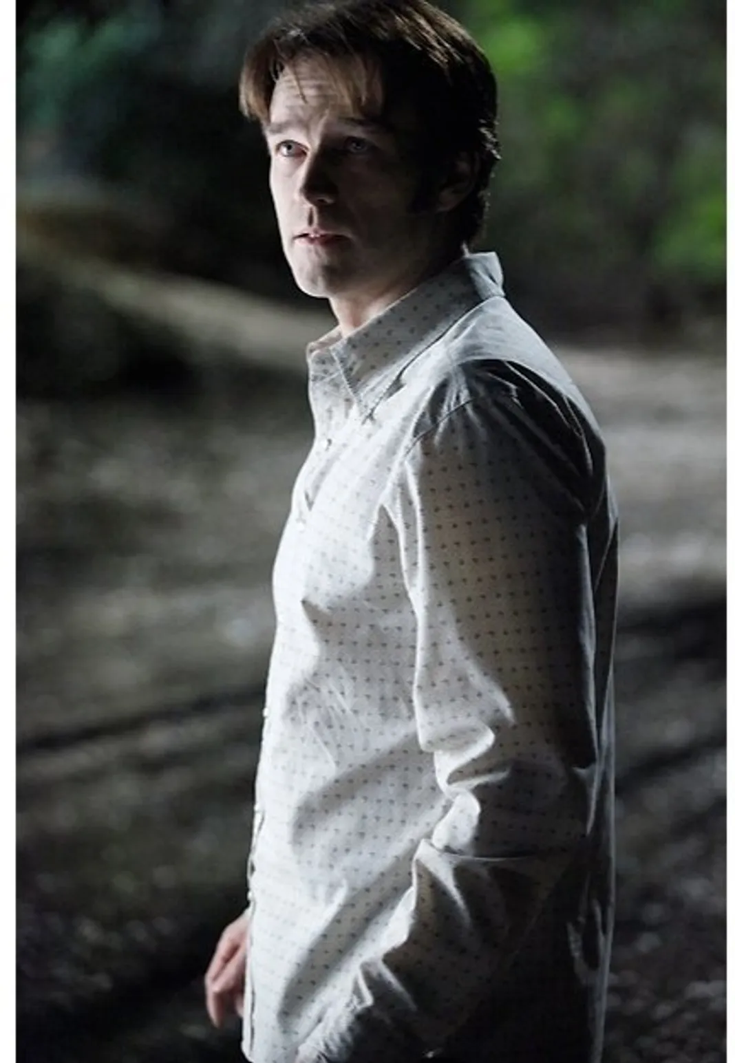 True Blood: Season 3, Stephen Moyer